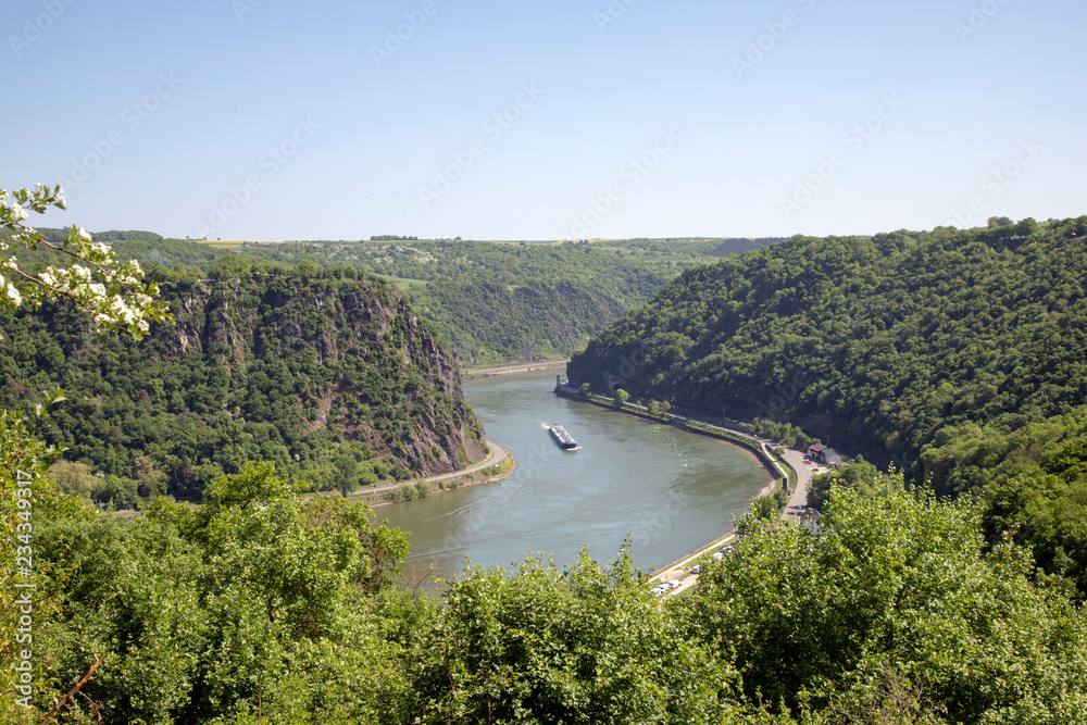 Magnificent Rhine valley