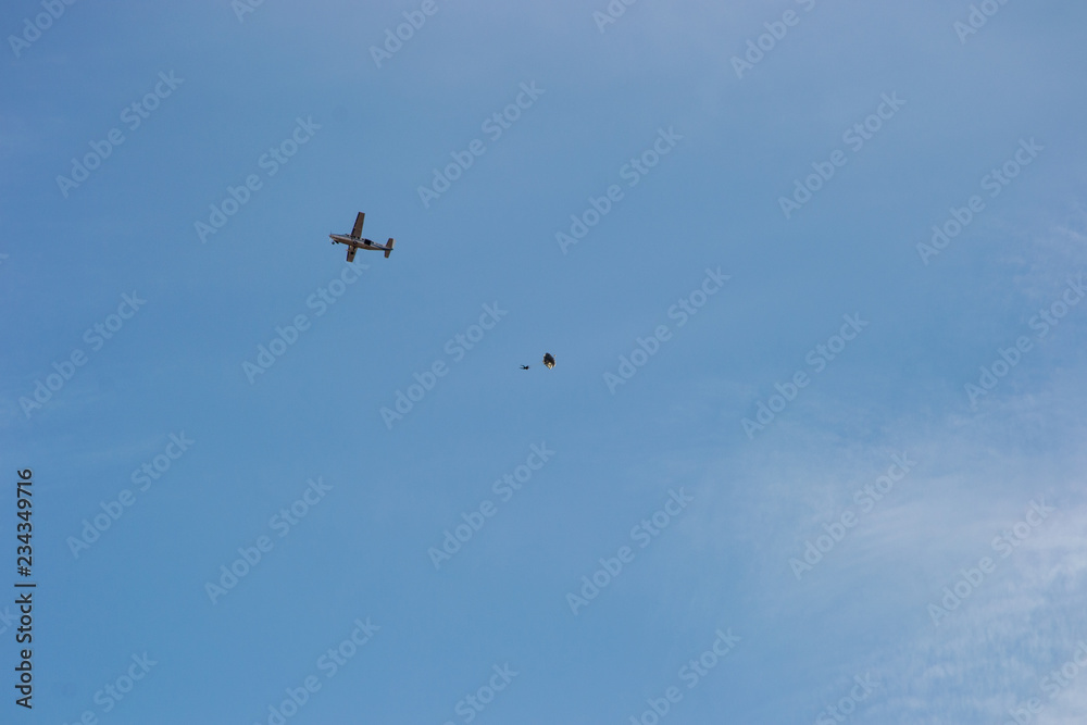 Jumping from a plane Jumping from a plane
