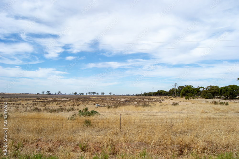 Arid and desertic landscape of australia outback