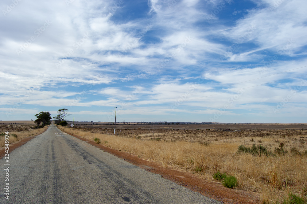 Arid and desertic landscape of australia outback