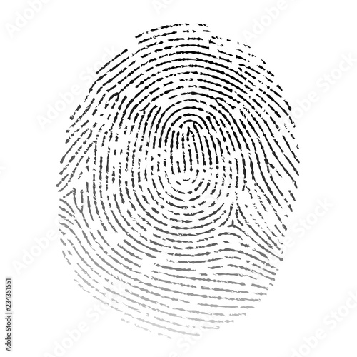 Vector realistic fingerprint