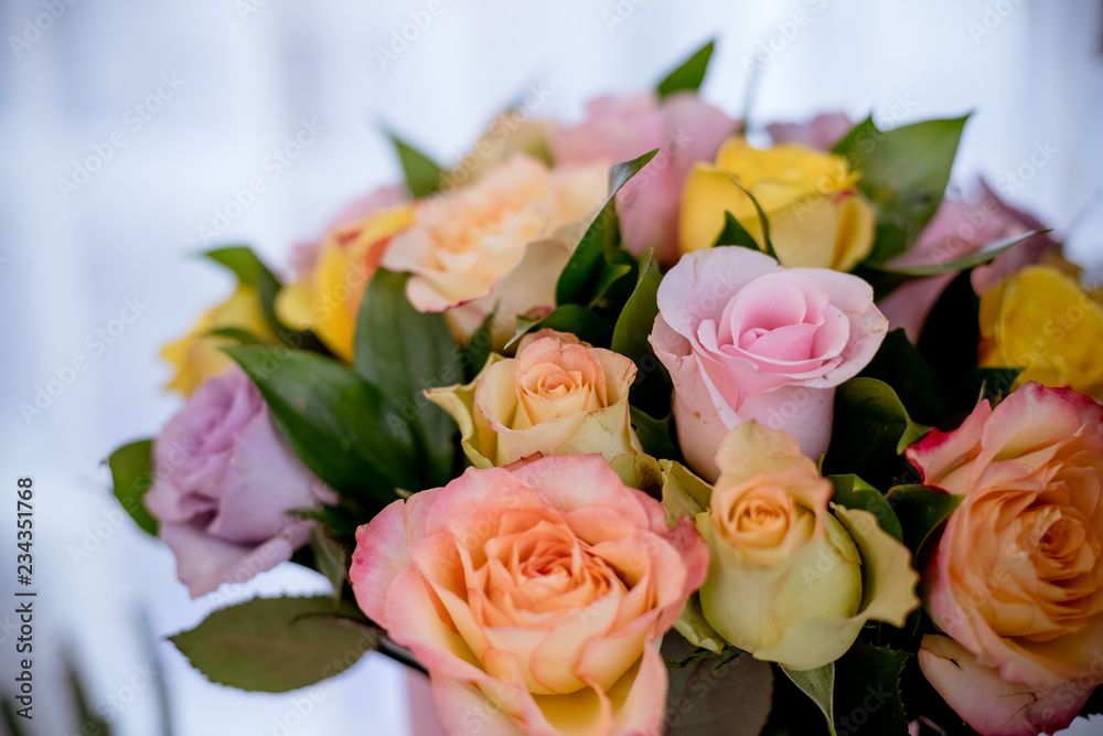 Colorful roses, beautiful flower bouquet.happy mother's day.Mix color roses in the box.pile of pink, yellow, orange, red, and white fresh roses isolated.round bouquet of multicolored roses