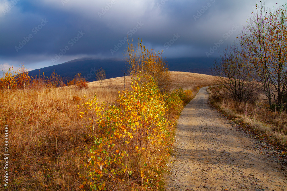 Fototapeta premium Landscape of autumnal peaks of the Carpathians.