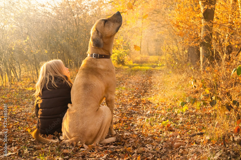 Wunschmotiv: Beste Freunde Kind und Hund sitzen glücklich im leuchtenden Herbstwald und schauen fall
