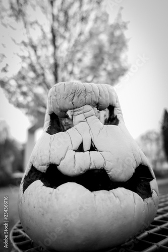 Halloween Gürbis
