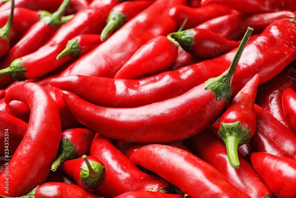 Many fresh red chili peppers as background