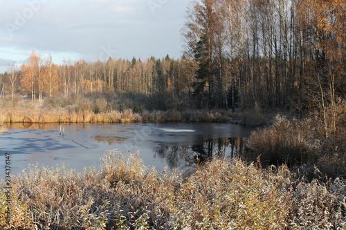 lake in autumn