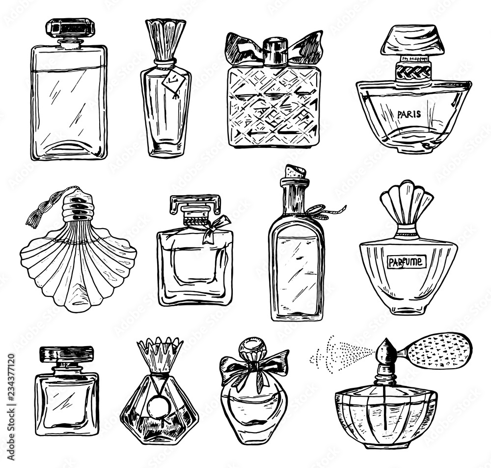 Vector Fashion Perfume Bottle Illustration. Hand Drawn Botanical Sketch  Stock Vector - Illustration of beauty, background: 203502598