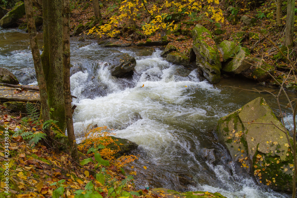 Overflowing Stream Saturated With Fall Colors Overflowing Stream Saturated With Fall Colors