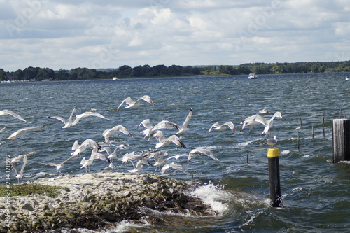 Wasserwelten