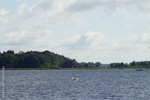 Wasserwelten