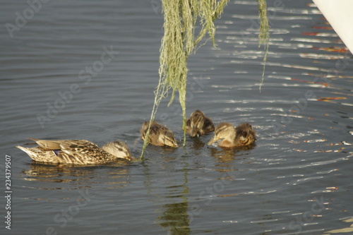 Wasserwelten