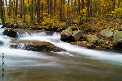 Fall Scene, Stream Running Through Hardwood Forest Autumn
