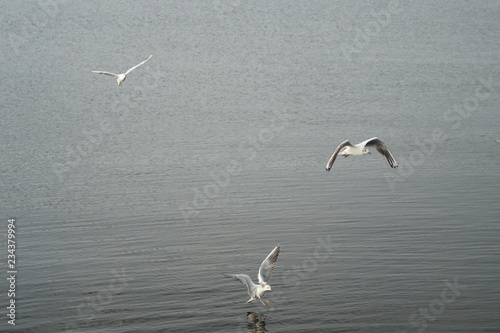 Wasserwelten