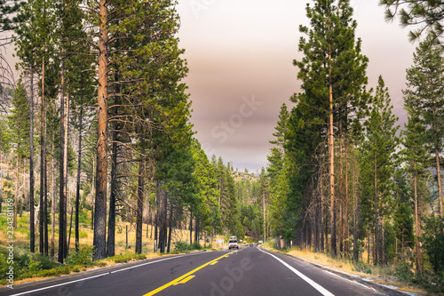 Driving through Yosemite National Park; filtered light due to the smoke coming from Ferguson Fire covering the sky, California photo