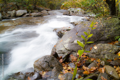 Late Autumn In Pennsylvania Along A Pocono Mountain Stream 