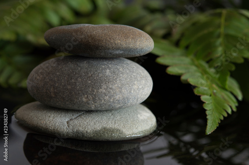Photography Mindful garden
