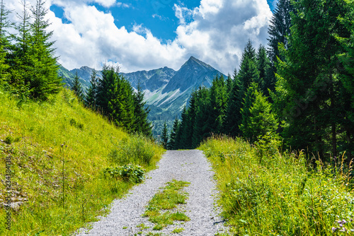 Forstweg in den Allgäuer Alpen, Bayern, Deutschland