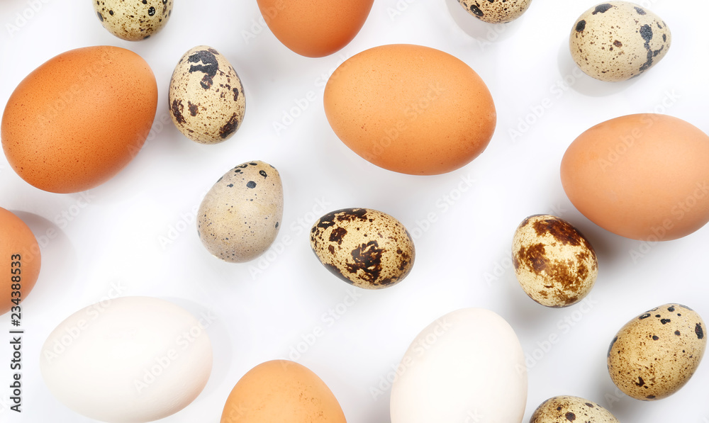 chicken and quail eggs on a white background chicken and quail eggs on a white background