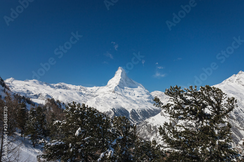 Majestic Matterhorn mountain in front of a blue sky with snow covered trees.