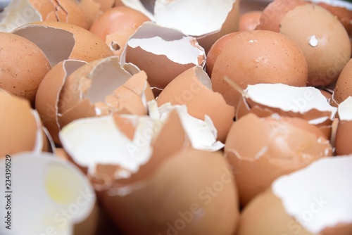 egg shell on texture and background
