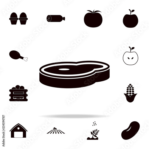 piece of meat icon. Farm icons universal set for web and mobile