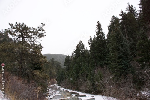 river in winter forest