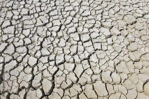 The parched soil