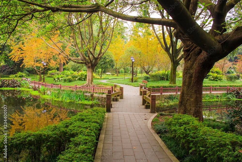 Landscapes of chinese park. Chengdu city. China.