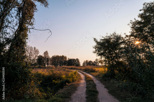 Country dirt road in Lomellina at sunset photo