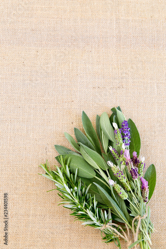 Fresh bundle of herbs - rosemary, lavender and sage, tied with jute string on burlap background