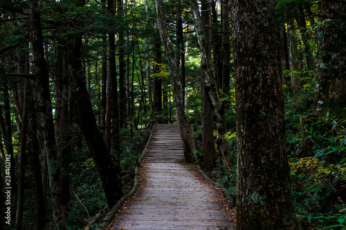 kamikochi