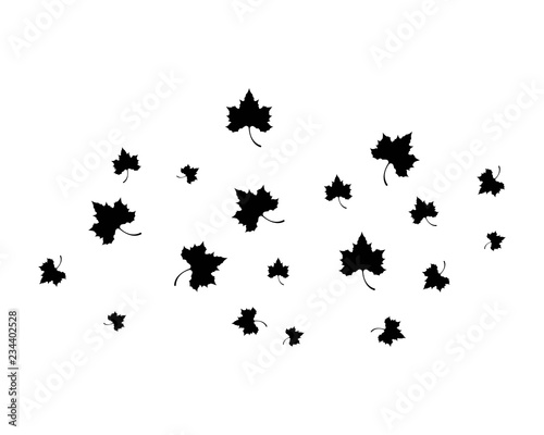 Maple leaf vector icon illustration