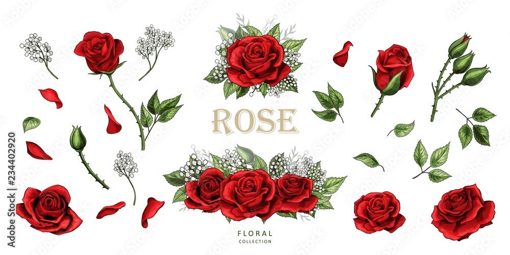 Fototapeta Czerwone róże ręcznie rysowane elementy ilustracja kolorowy zestaw