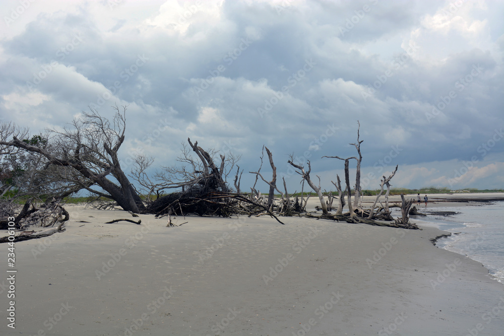 Folly Beach on Morris Island SC Folly Beach on Morris Island SC