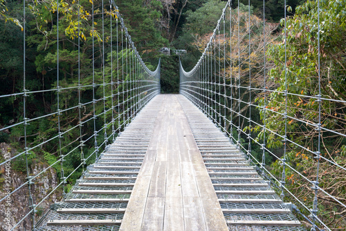 Fototapeta Naklejka Na Ścianę i Meble -  谷の吊り橋