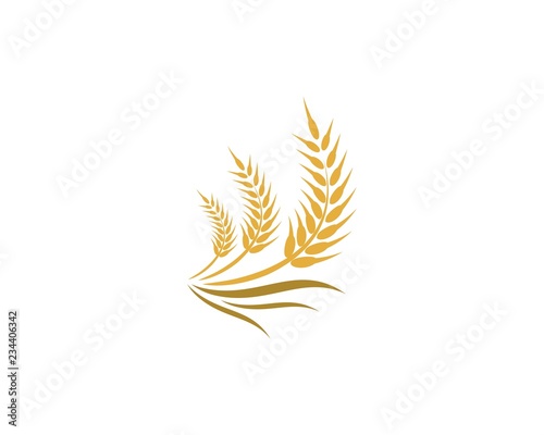 Wheat logo icon illustration