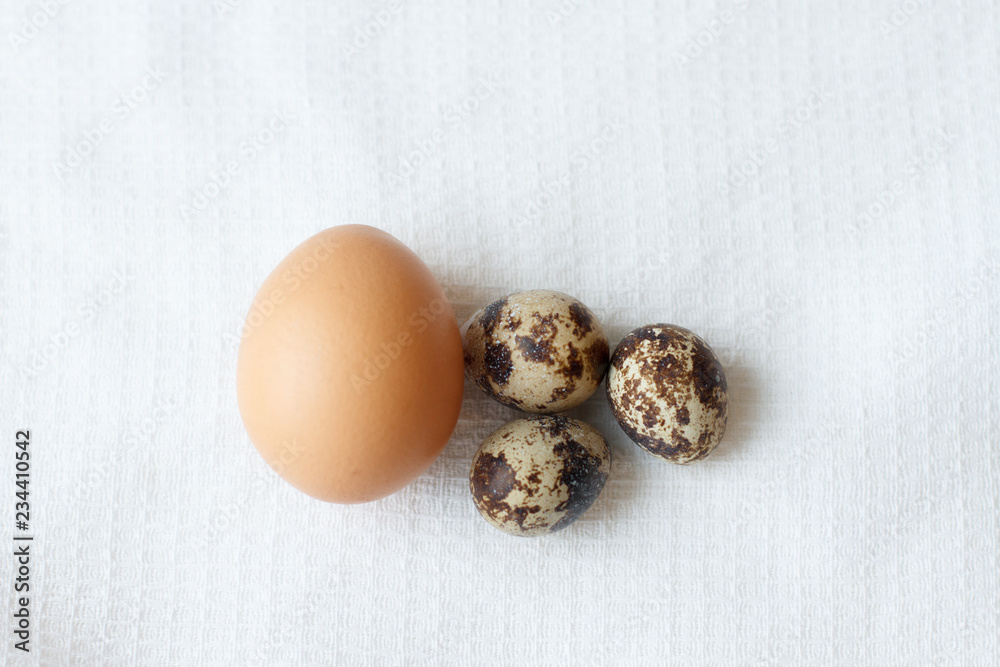 chicken and quail eggs chicken and quail eggs