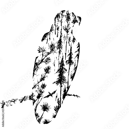 Abstract hand drawing of an eagle with double exposure effect.