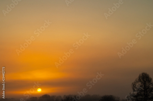 Mystical sunrise over the misty forest © Aleksey