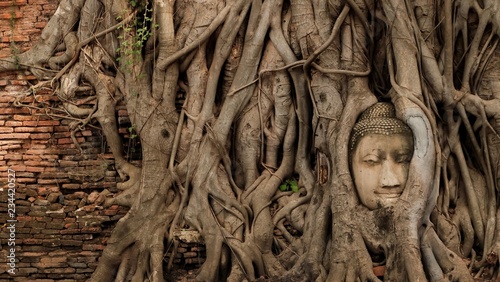 the statue of buddha head