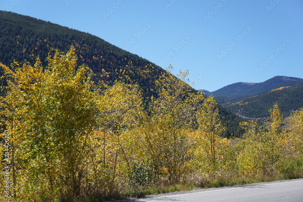 Obraz premium autumn in the mountains