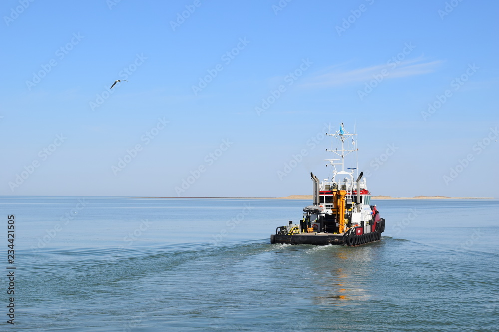 Fototapeta premium the beauty of Tagboat 