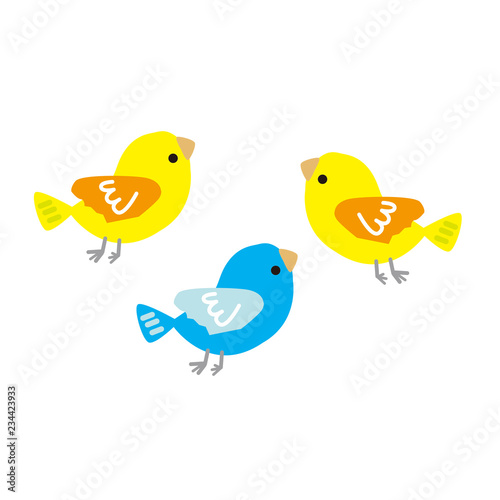 鳥たち