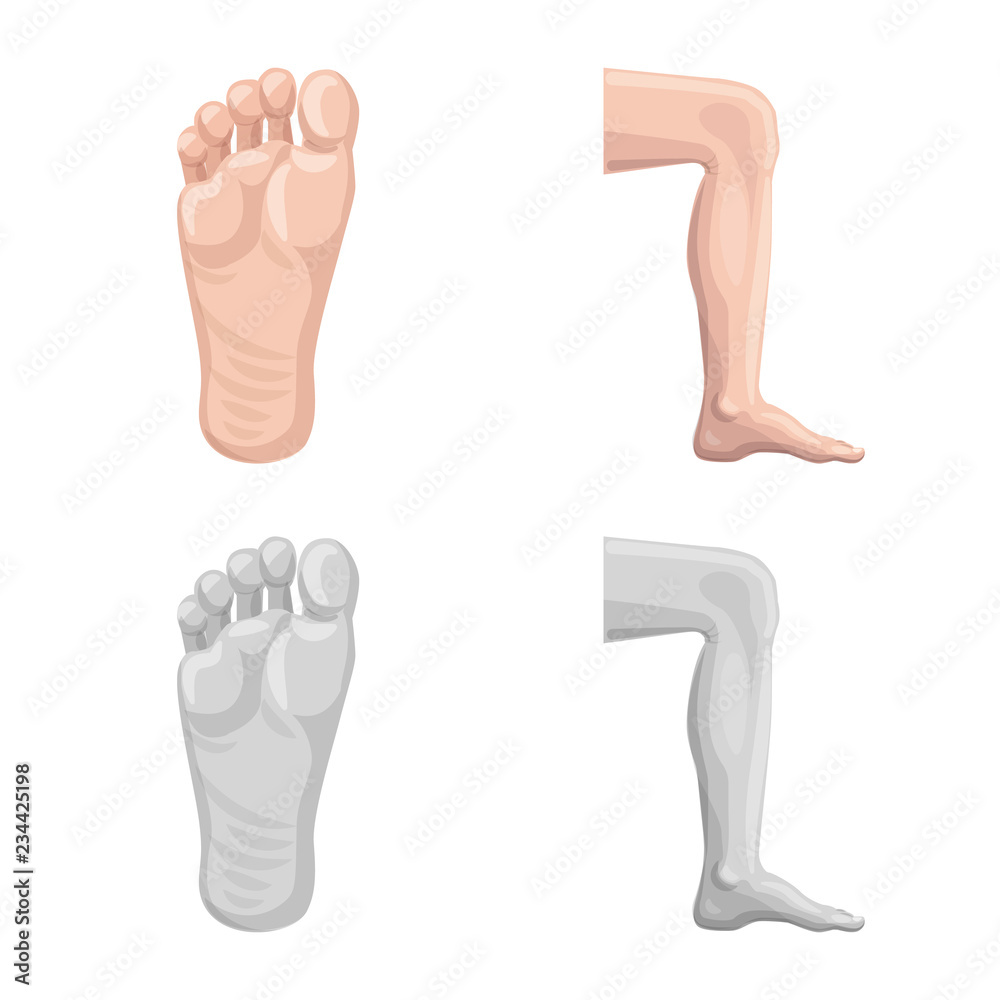 Vector illustration of human and part icon. Collection of human and woman vector icon for stock. Vector illustration of human and part icon. Collection of human and woman vector icon for stock.