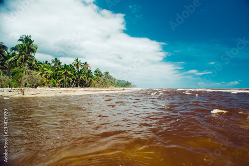 Palomino - La Guajira photo