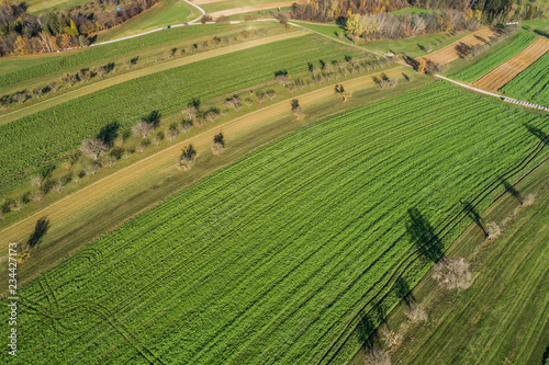 Herbstlandschaft bei Pinkafeld im Burgenland (A)