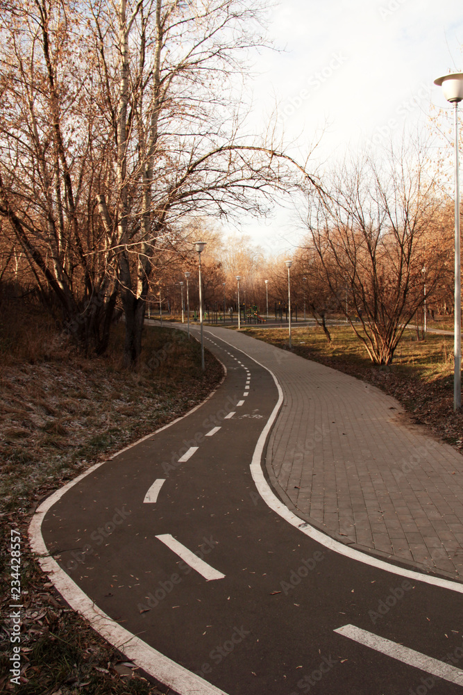 Fototapeta premium road in fog