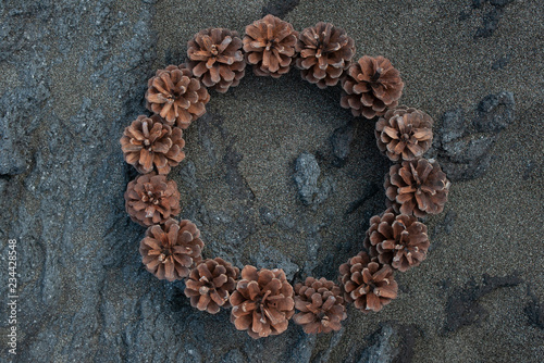 frame of Pine cones