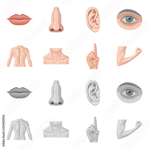 Vector illustration of human and part symbol. Set of human and woman stock vector illustration.